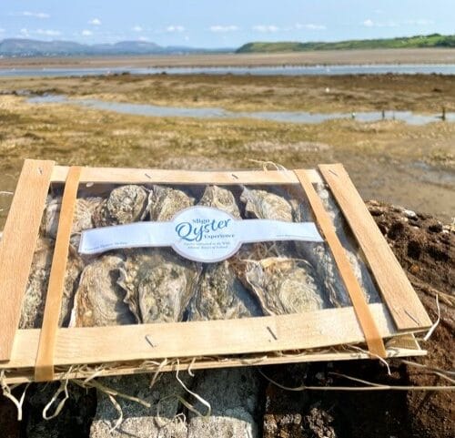Sligo Oyster Experience Oyster Box