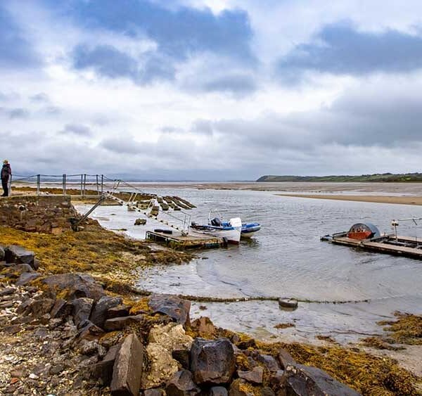 Sligo Oyster Farm-Tour Group in Sligo Bay Landscape