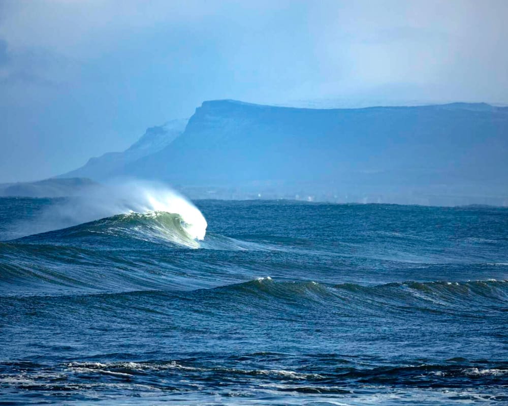 Sligo Oyster Experience