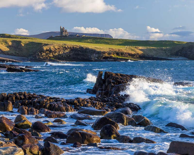 Sligo Oyster Experience