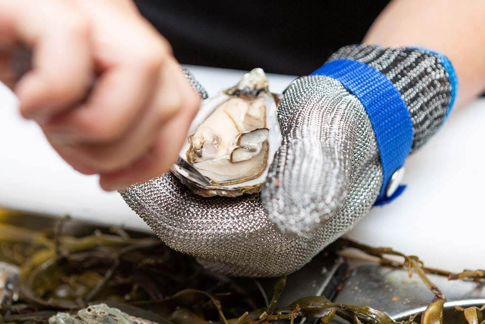 Sligo Oyster Experience Closeup of Shucking Oysters