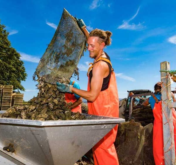 Sligo Oyster Experience Farmer at Work