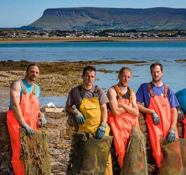 Sligo Oyster Experience Farmers Benbulben Background