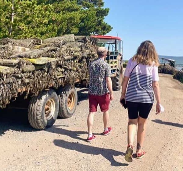 Sligo Oyster Farm Tour, Walkers