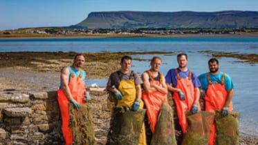 Sligo Oyster Experience