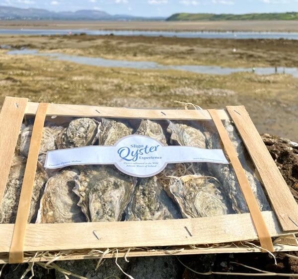 Sligo Oysters Pack in Sligo Landscape