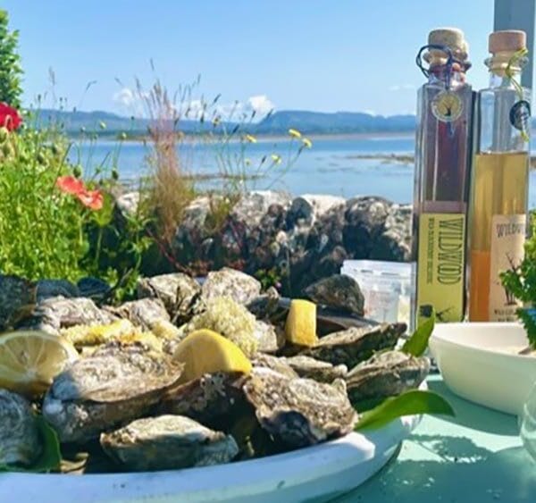 Sligo Oysters on Oyster Cart