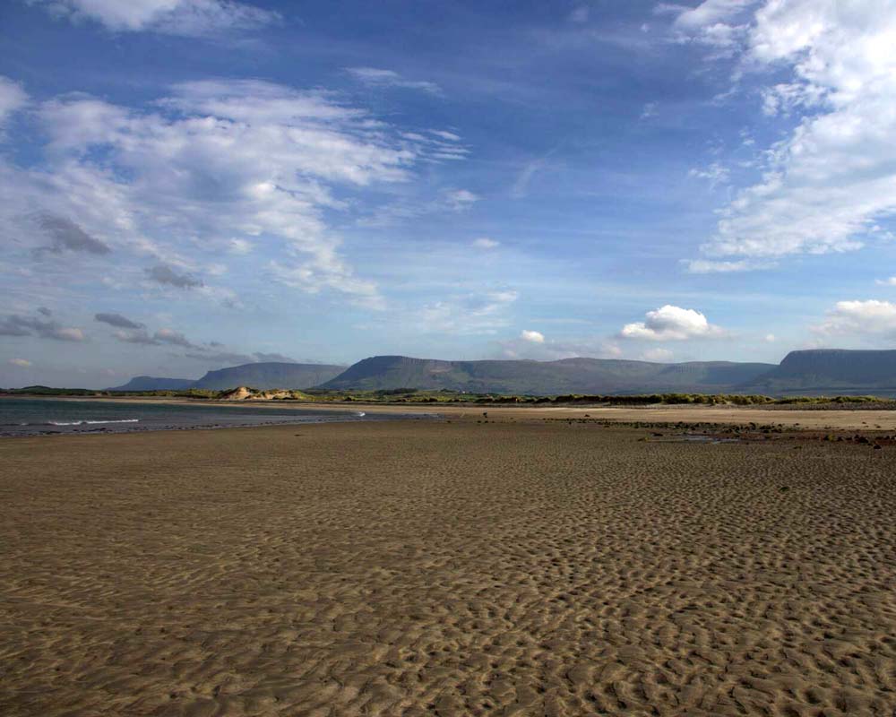 Sligo Oyster Experience