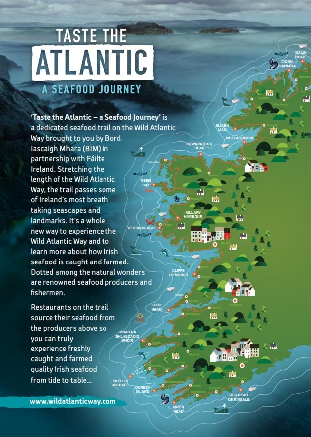 Sligo Oyster Experience