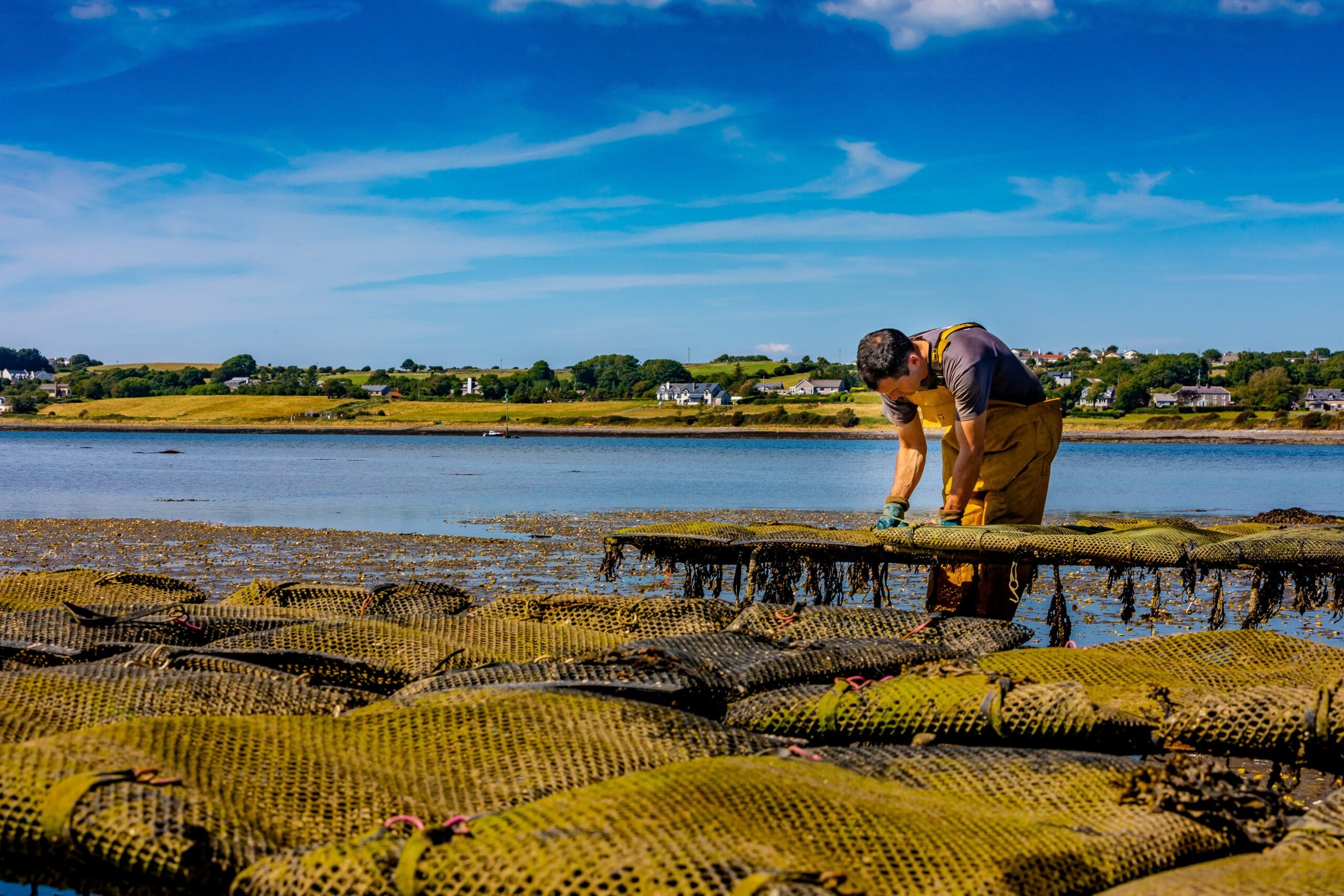 Farmer Working at Trestles