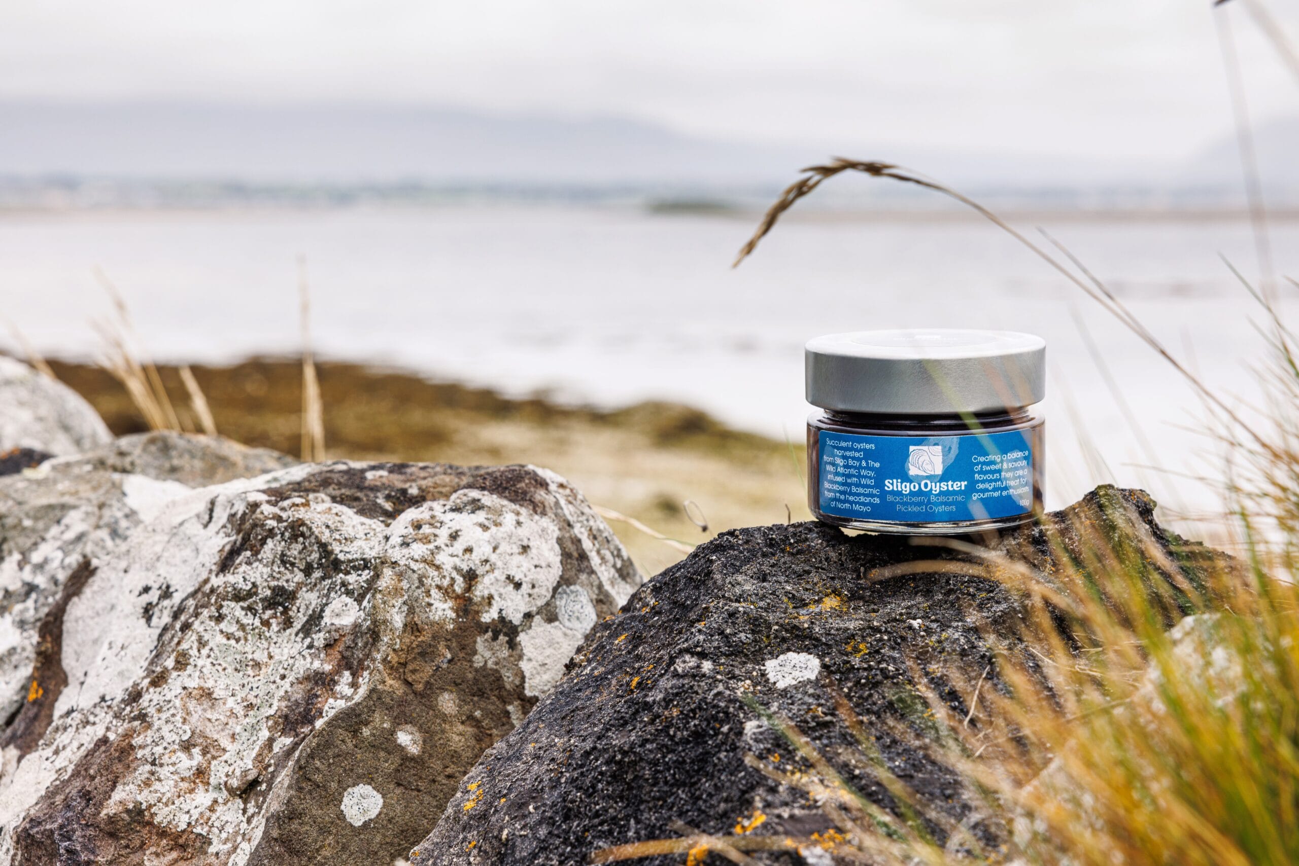 Blackberry Balsamic Oysters by Sligo Oysters